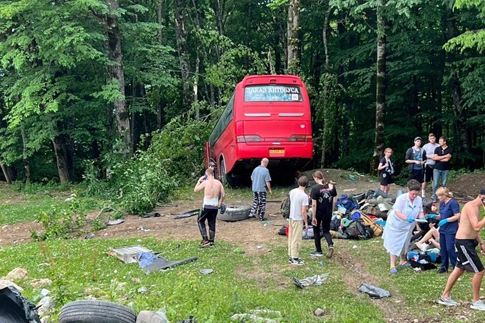 Автобус врезался в дерево.
