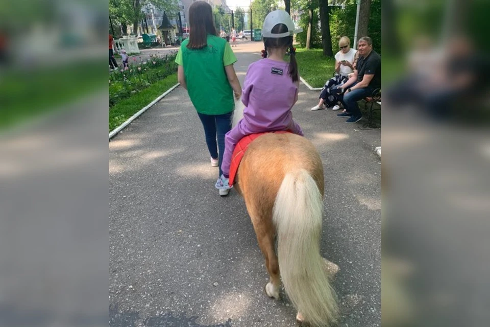 На пони в пермском парке Горького катают маленьких посетителей.