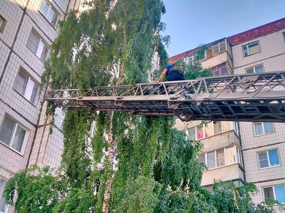 После спасения кот решил больше не испытывать судьбу и стал дожидаться хозяйку, сидя у подъезда.