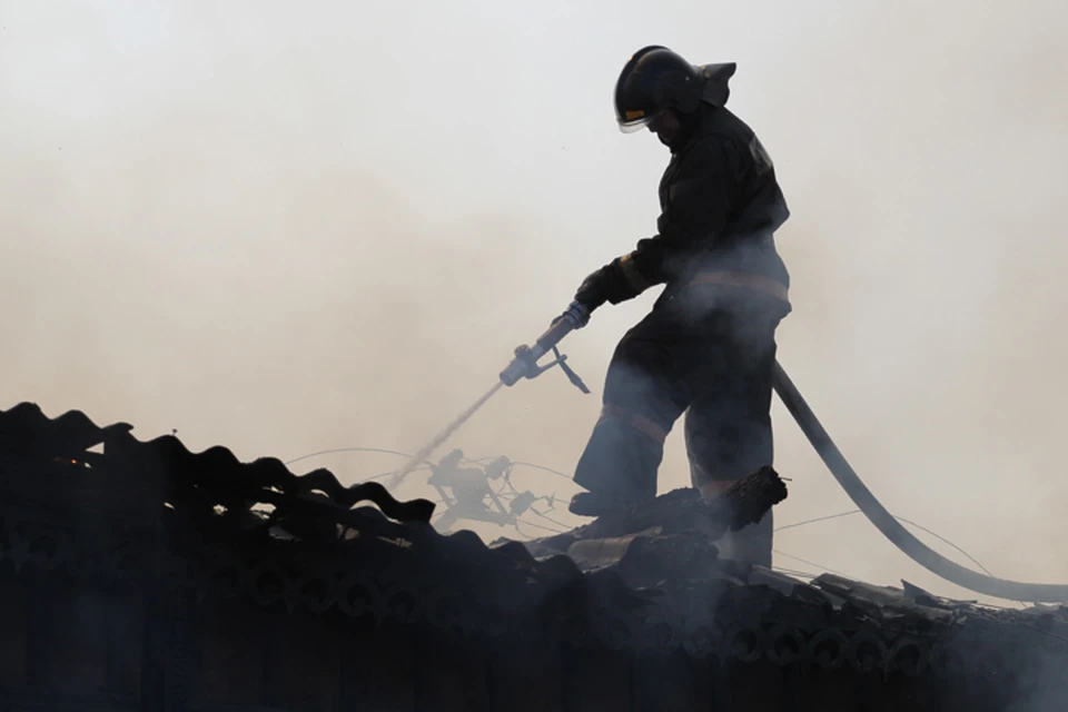 40 уголовных дел возбуждено по лесным пожарам в Иркутской области