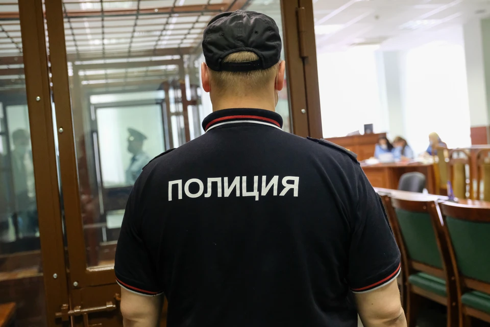 В Петербурге будут судить мужчину, забившего насмерть брата.