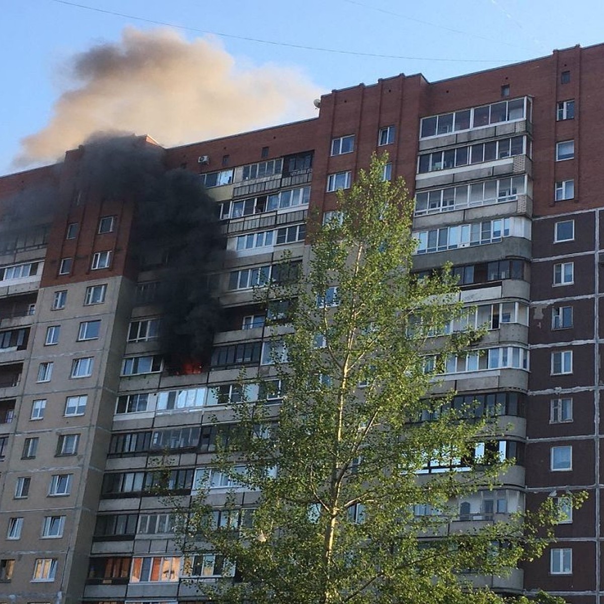 Квартира загорелась в многоэтажном доме на Звездной улице в Петербурге -  KP.RU