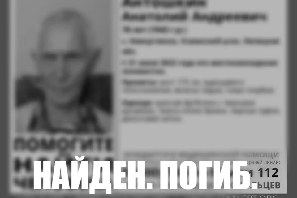 Пропавшего пенсионера нашли погибшим под Липецком