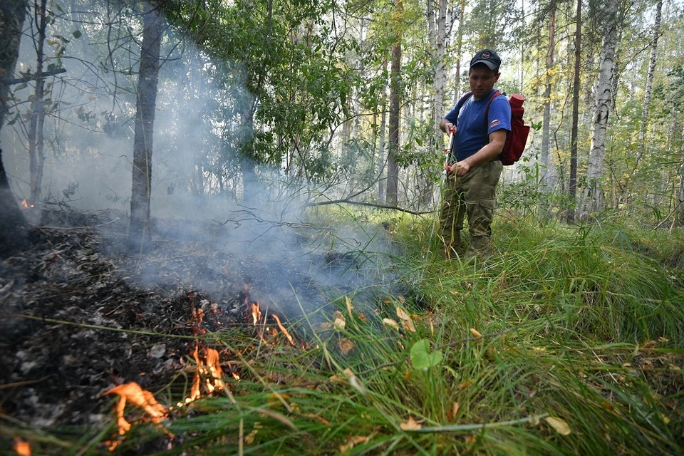 Пятый класс пожароопасности объявлен в Ростовской области из-за установившейся жаркой погоды.