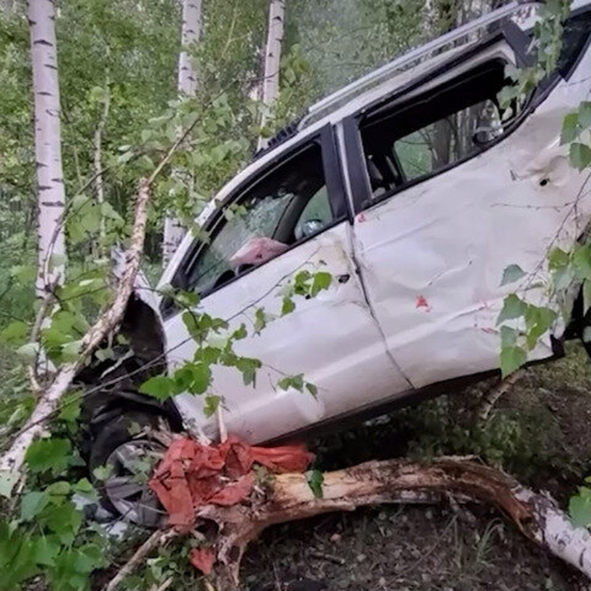 В Йошкар-Оле водитель пытался скрыться от автоинспекторов и случайно загнал  авто на березу - KP.RU