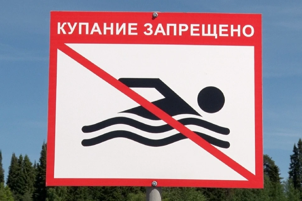 Проверяющие посетили дикий пляж у микрорайона КМДК, где установили запрещающую табличку. Фото: admkirov.ru
