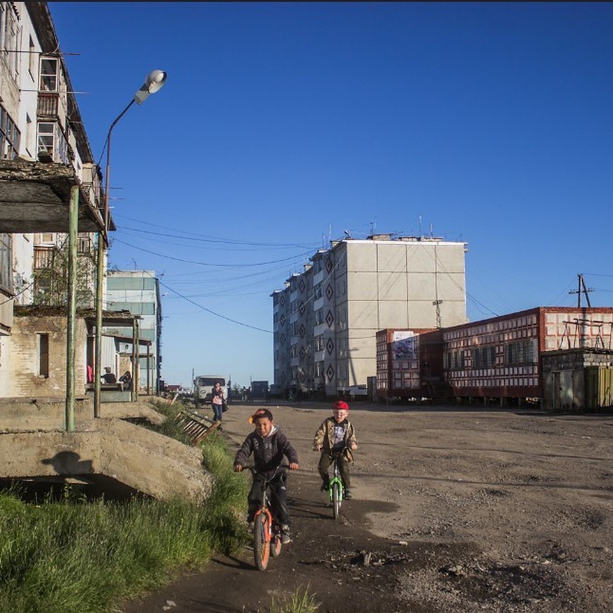 Волочили под дом». В якутском поселке Черский прохожий спас шестилетнюю  девочку от стаи разъяренных собак - KP.RU