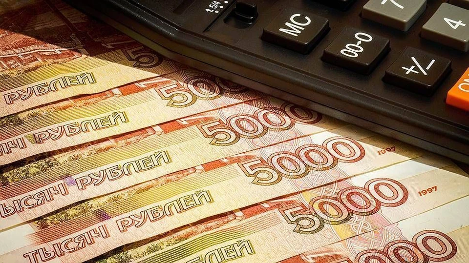 Аудиторские проверки помогают эффективно тратить бюджетные деньги Фото:ramksp.ru
