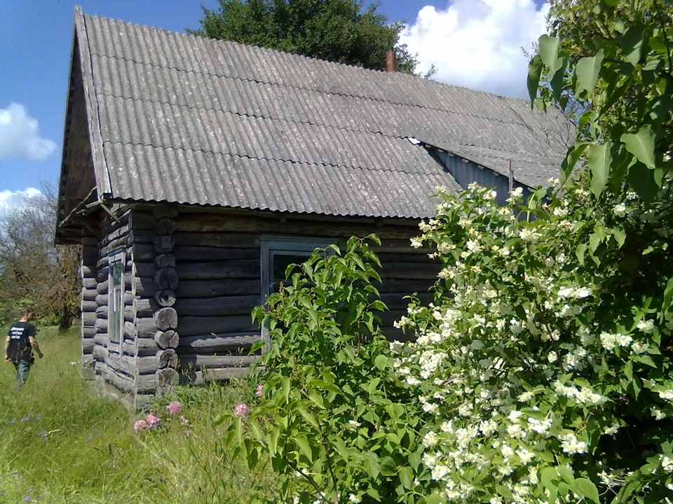 В заброшенных усадьбах можно часто найти старинные липы, душицу, мяту.