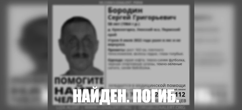Фото: поисковый отряд «Лиза Алерт»