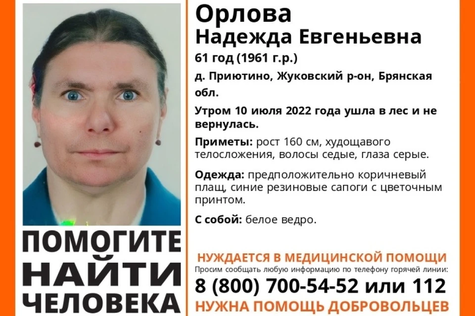 Фото: "Лиза Алерт", vk.com.