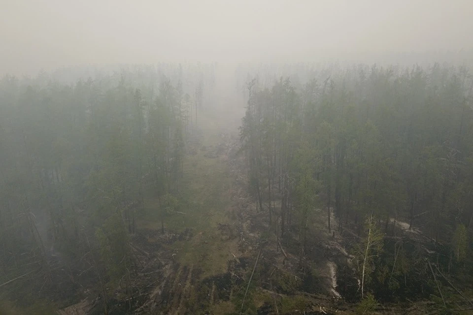 В Хабаровском крае введут режим ЧС федерального значения