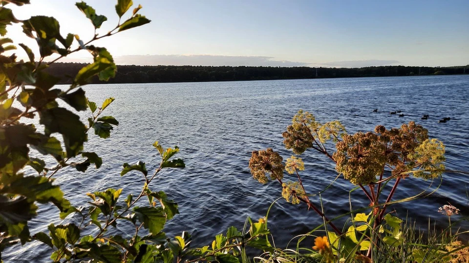 город Калуга Яченское водохранилище. Фото: Ирина Будникова