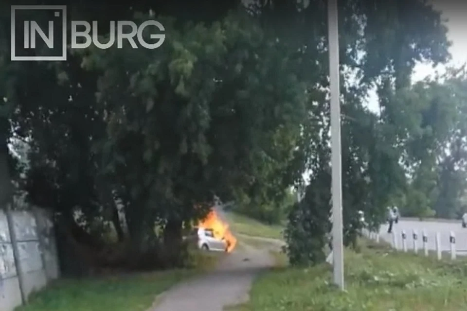Фото: скриншот с видео