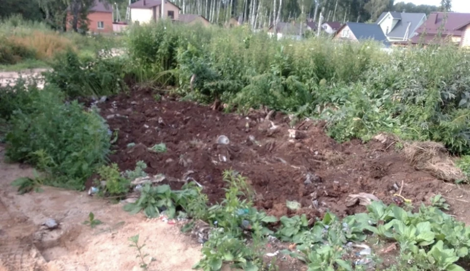 В Смоленске ликвидировали две несанкционированные свалки. Фото: региональный оператор ТКО Смоленской области.