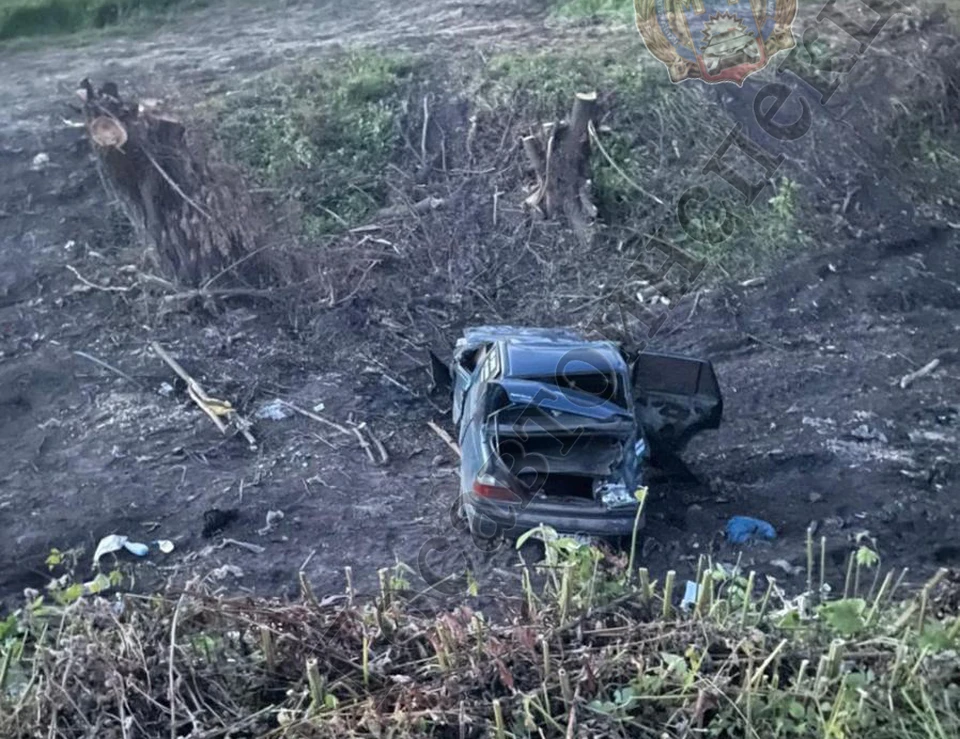 В Тульской области пьяный мужчина на Daewoo опрокинулся в кювет: пострадали два человека