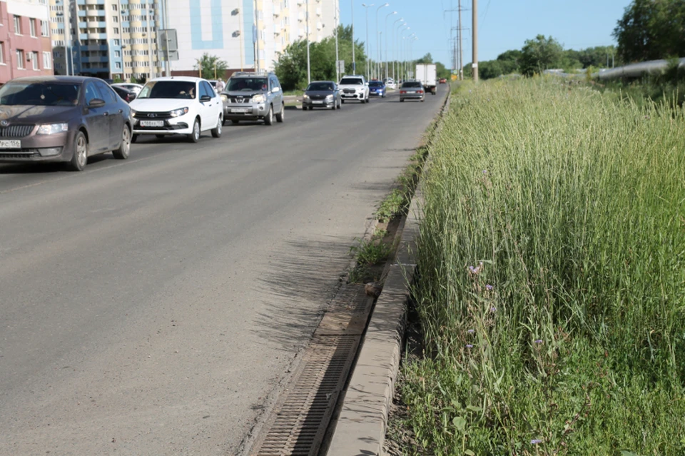 В некоторых ливневках сквозь решетки проросла трава. Фото: onf.ru