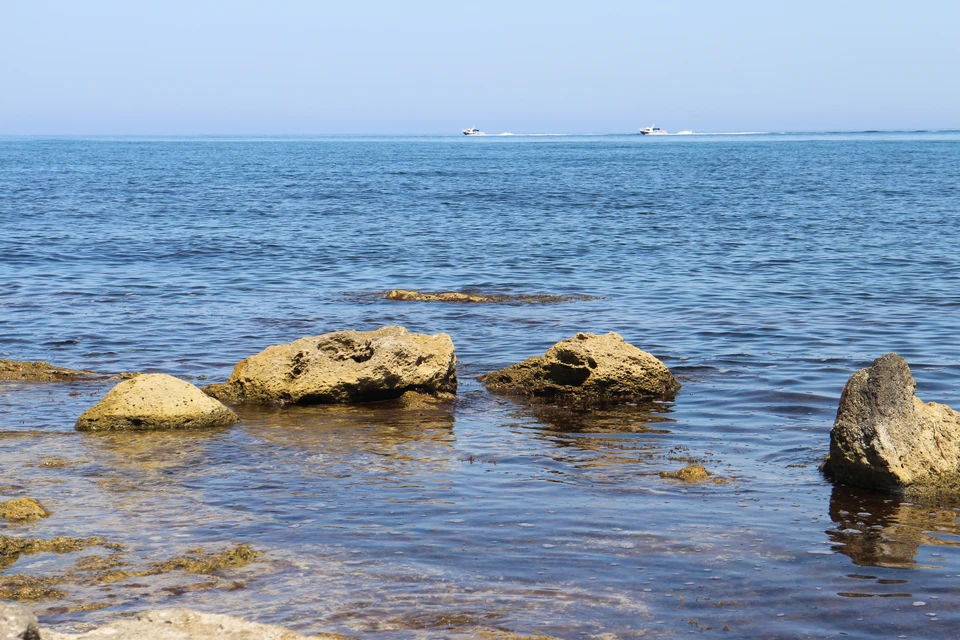 Вода в Черном море прогрелась до +24°.