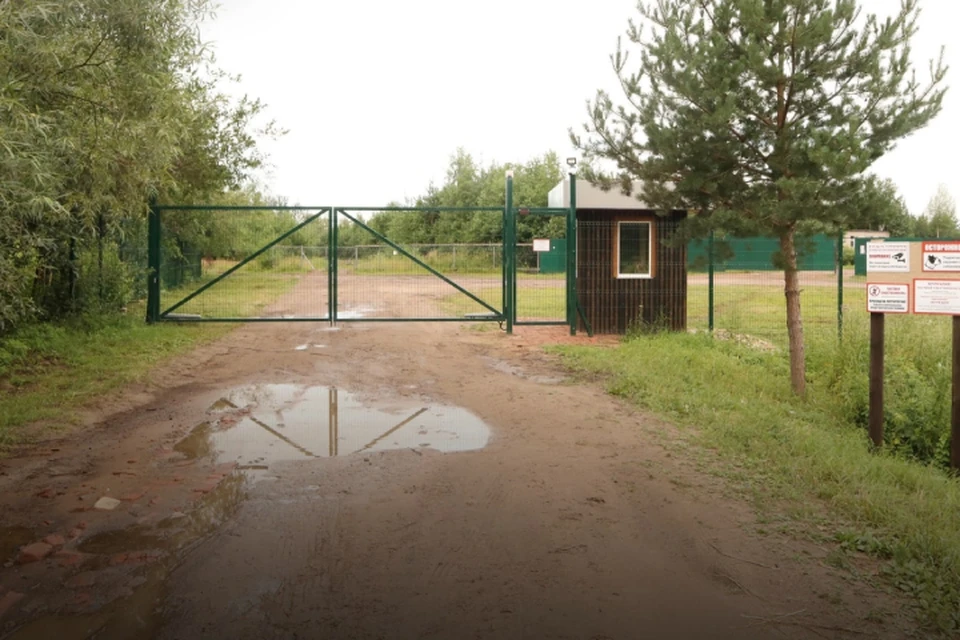 Ограждение установил местный вейк-парк, расположенный на берегу озера Холуново. Фото: vk.com/onfkirov
