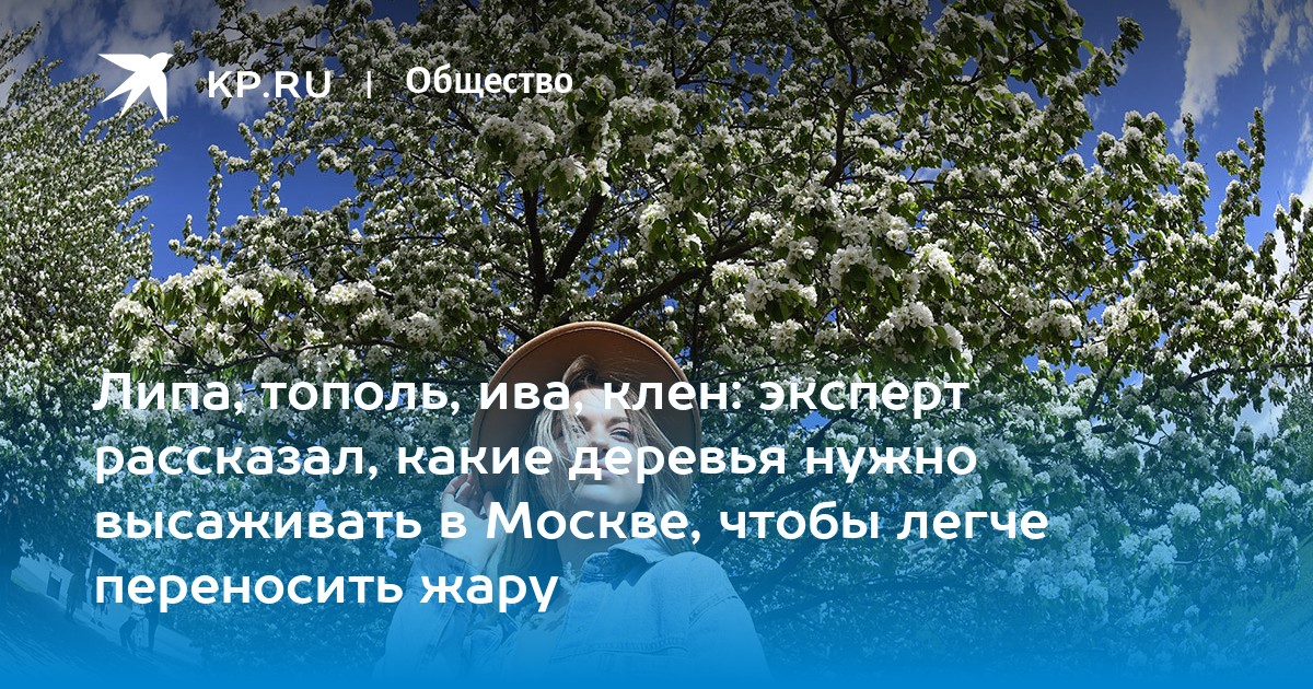 Деревьям нужен воздух. Тополь очищает воздух. Дерево против жары.