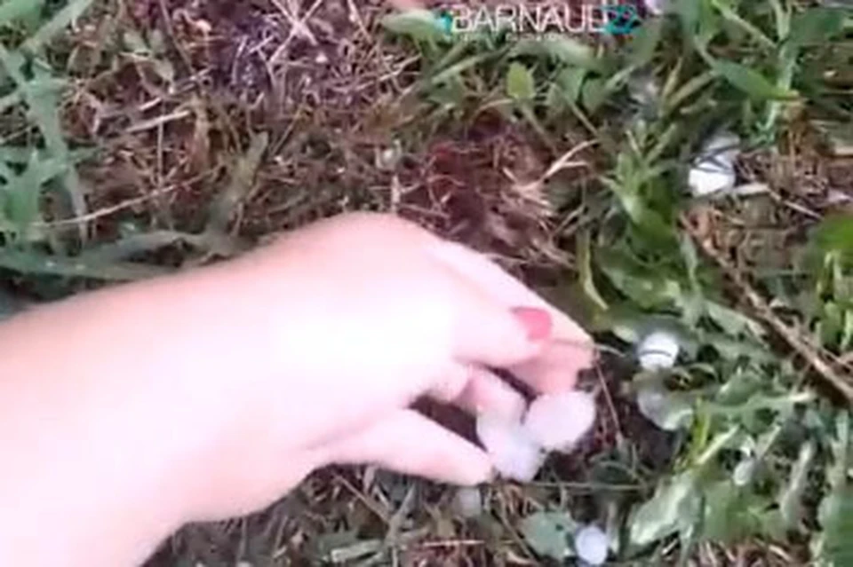 Скриншот видео с паблика vk.com/barneos22