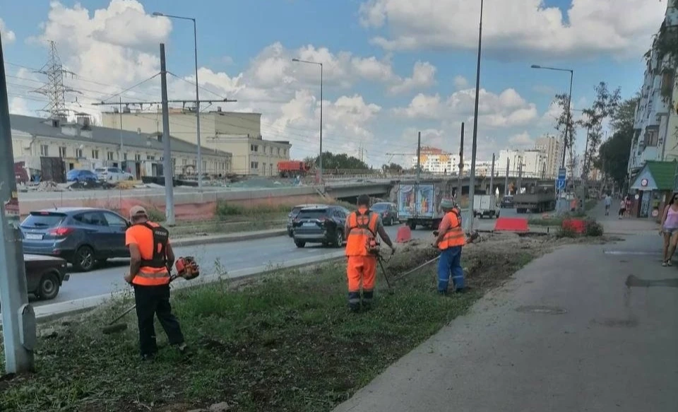 Уборку будут проводить регулярно. Фото: ЦУР