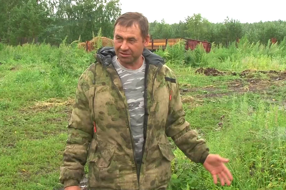 В Красноярском крае фермер отбился от медведя вилами, защищая жену и поросят. Фото: стоп-кадр видео телеканала «Енисей»