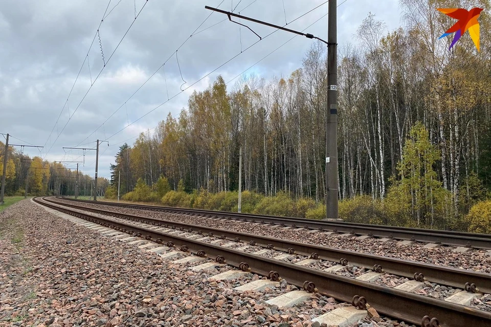Поезд врезался в автомобиль под Брестом.