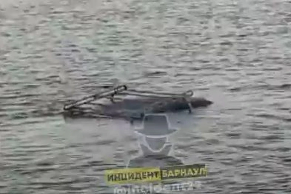 Фото: скриншот с видео "Инцидент Барнаул"