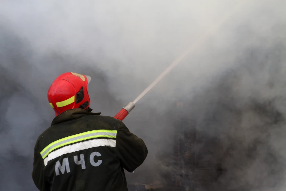 Пожарный извещатель спас дом многодетной семьи из Новосибирской области.