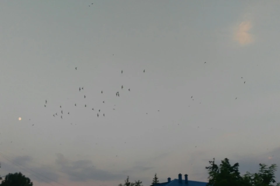 В приграничных районах Курской области снова неспокойно
