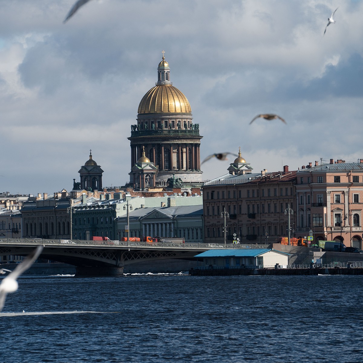 До 2050 года Неве добавят три моста и два тоннеля - KP.RU