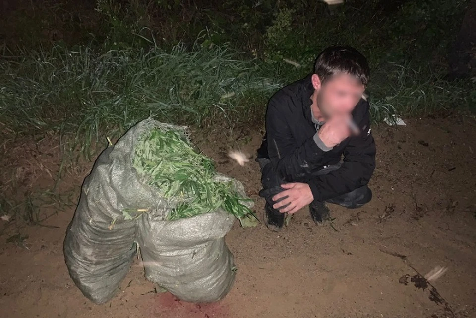 Мужчину с двумя мешками конопли задержали в Биробиджане