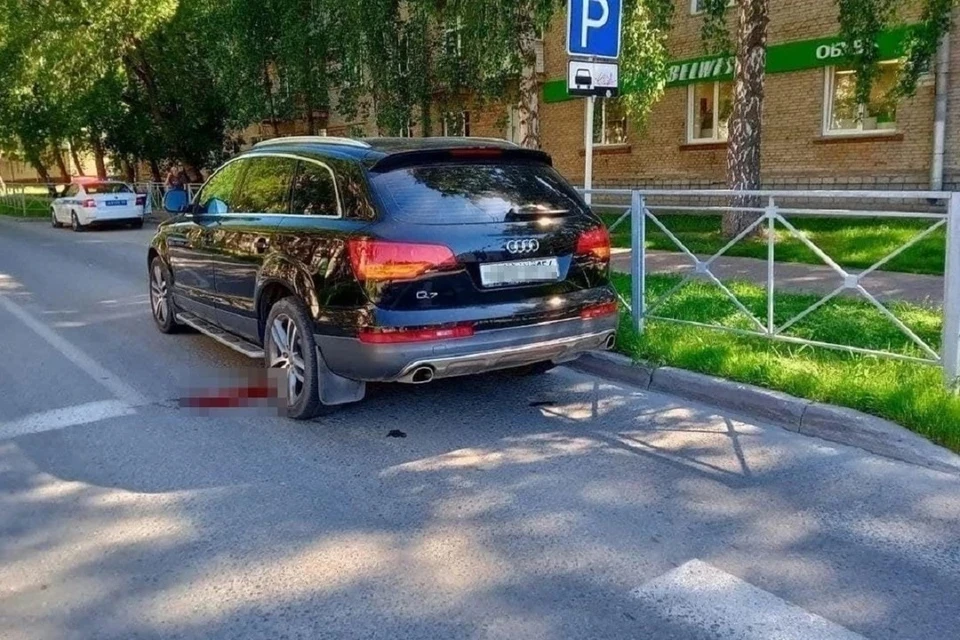 В Новосибирск е суд не установил вину водителя Audi Q7, насмерть сбившего 5-летнего мальчика. Фото: "Инцидент Новосибирск"