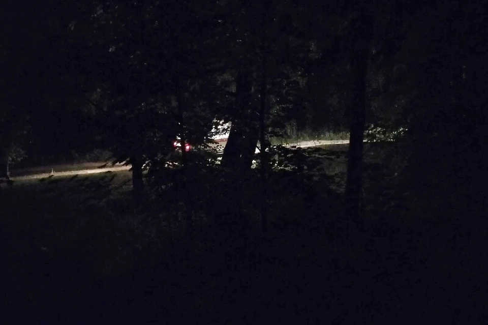 Волонтеры обнаружили в Касимовском районе труп пропавшего мужчины. Фото: ПСО Мещера.
