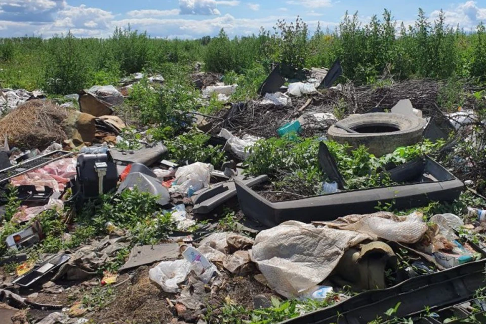 В Новосибирской области нашли 15 незаконных свалок. Фото: Управление Россельхознадзора по НСО.