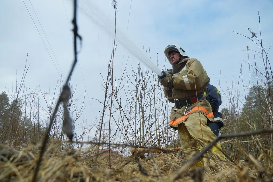 Вырос на урале. Тушение пожара фото. Природные пожары. Пожар в Асиновском районе Томской области. Против лесных пожаров.