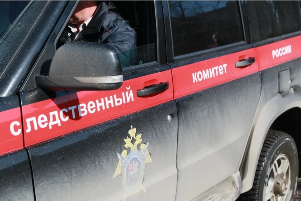 Возбуждено уголовное дело