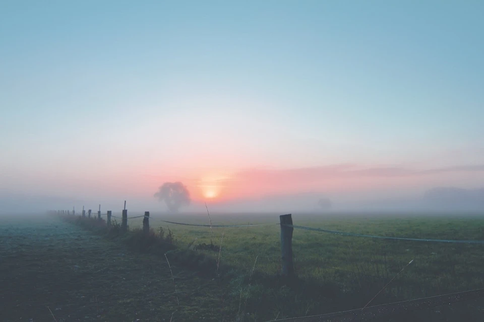 Фото: pexels.com