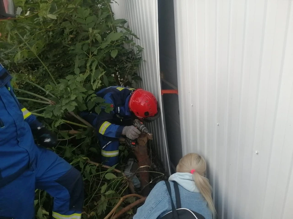 Вызволить «заложницу» помогли специалисты с помощью специального инструмента. Фото: ПСС Удмуртии