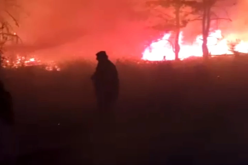 Площадь пожара в Каменском районе возросла до 40 гектаров. Фото: ГУ МЧС по РО.