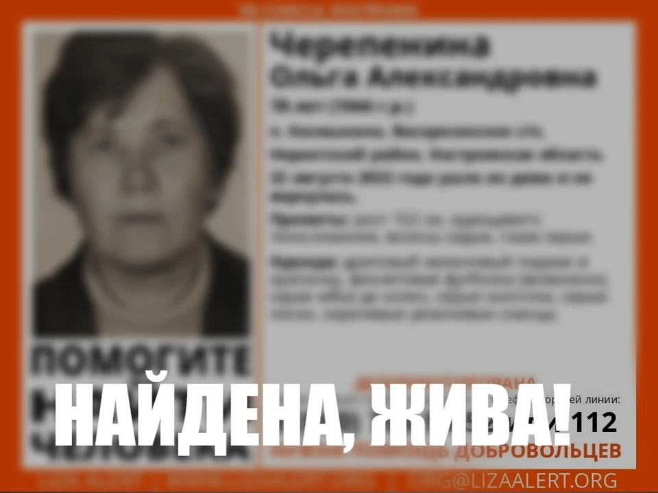 Фото: ДПСО "Лиза Алерт" Костромской области