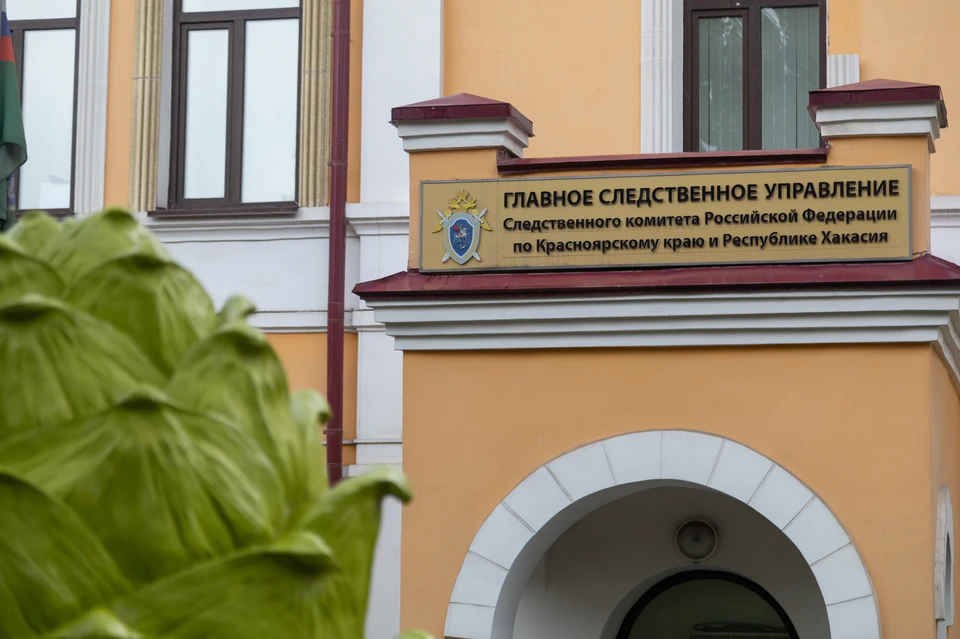 В Абакане на привязавших к столбу мальчика подростков завели уголовное дело