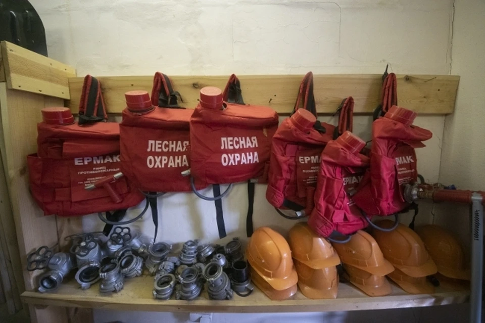 В Томской области стартует конкурс на лучшего лесничего