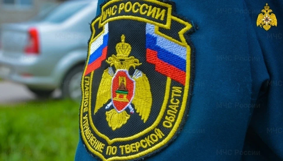 Снаряд нашли и обезвредили в Ржевском районе Фото: ГУ МЧС России по Тверской области