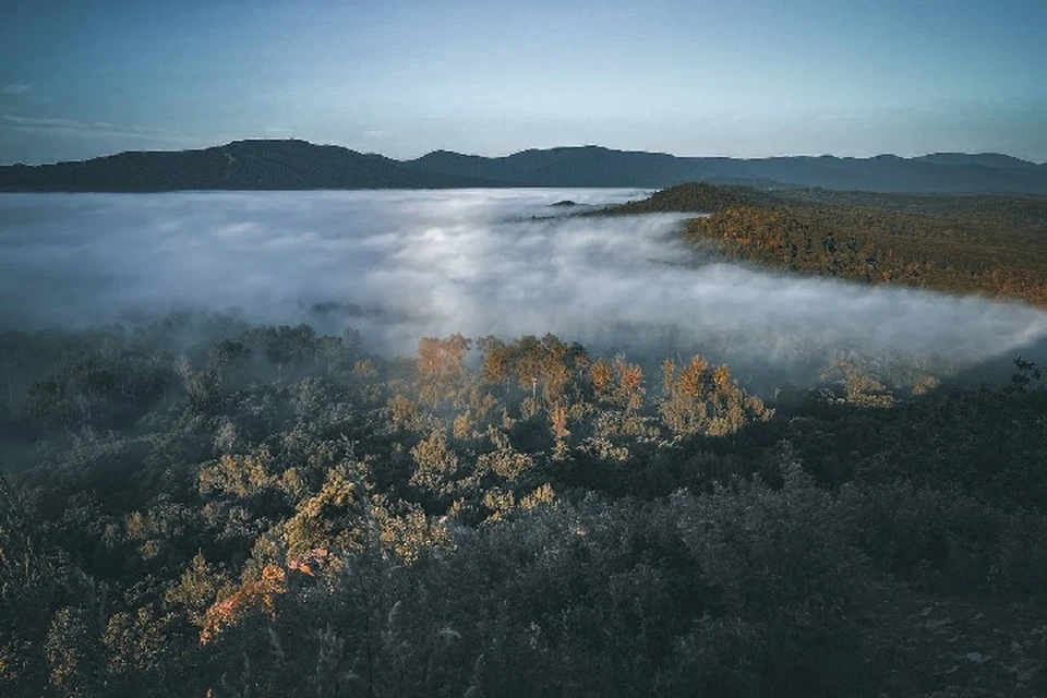 Хехцир хабаровск фото