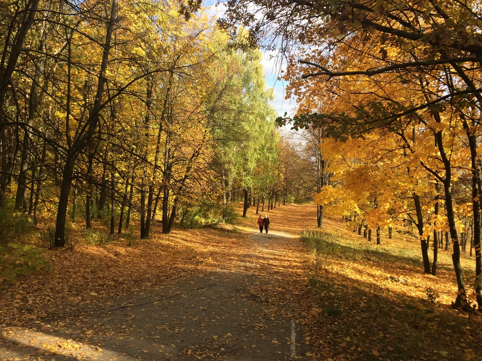 Фото автора.