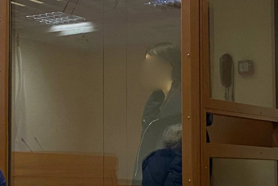 Девушка обвиняется в убийстве своего 85-летнего прадедушки. Фото: СК Москвы