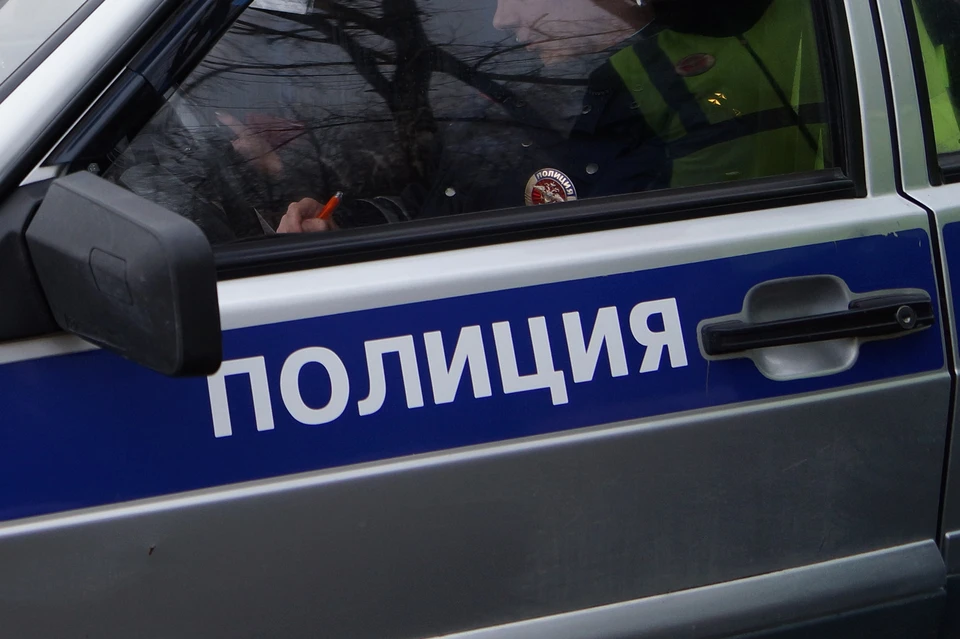 Полиция прокомментировала инцидент с пожилой рязанкой, пострадавшей от рук незнакомца на улице Новоселов в Рязани.