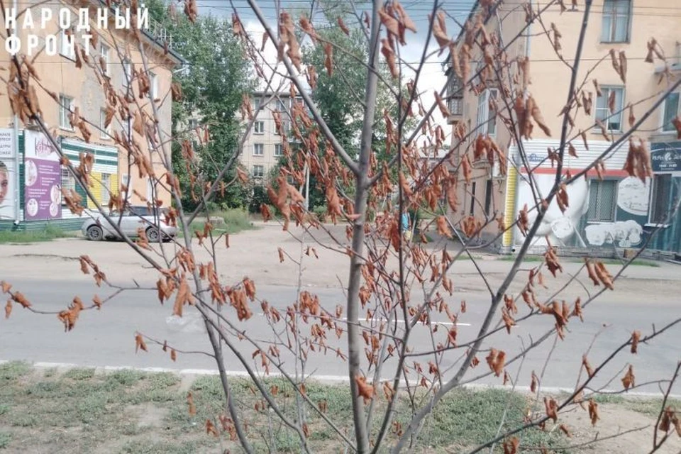 Аллея